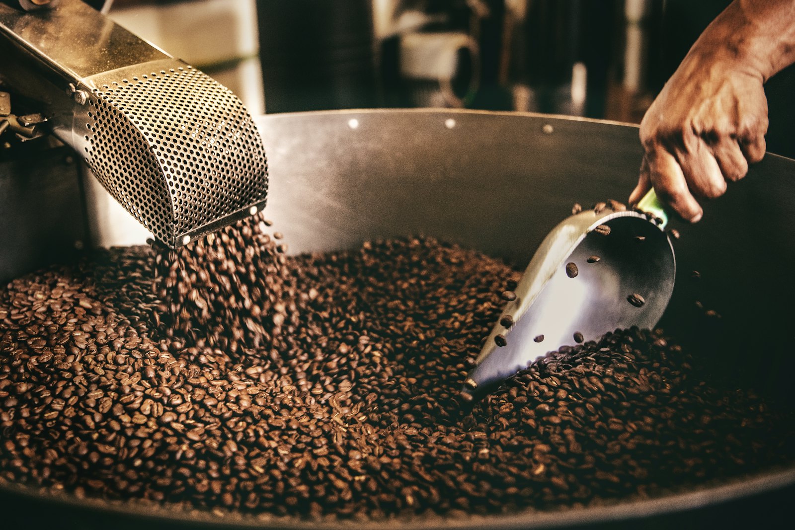 Frisch geröstete Kaffeebohnen